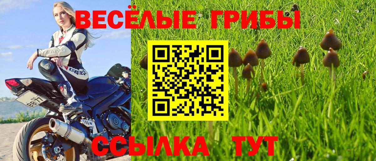 Псилоцибиновые грибы Cubensis Куйбышев