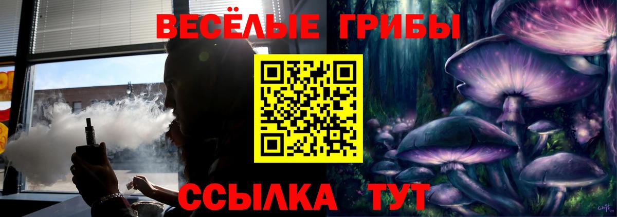 Куйбышев  Галлюциногенные грибы Psilocybine cubensis  Псилоцибиновые грибы прущие грибы  что такое   Вход с VPN 